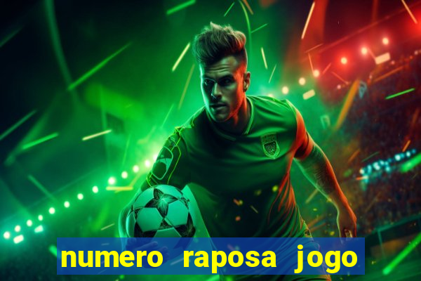 numero raposa jogo do bicho